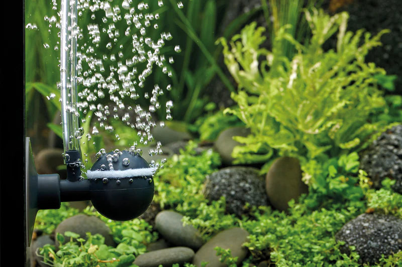 Aquarium Air Pump () Aquarium Air Pump