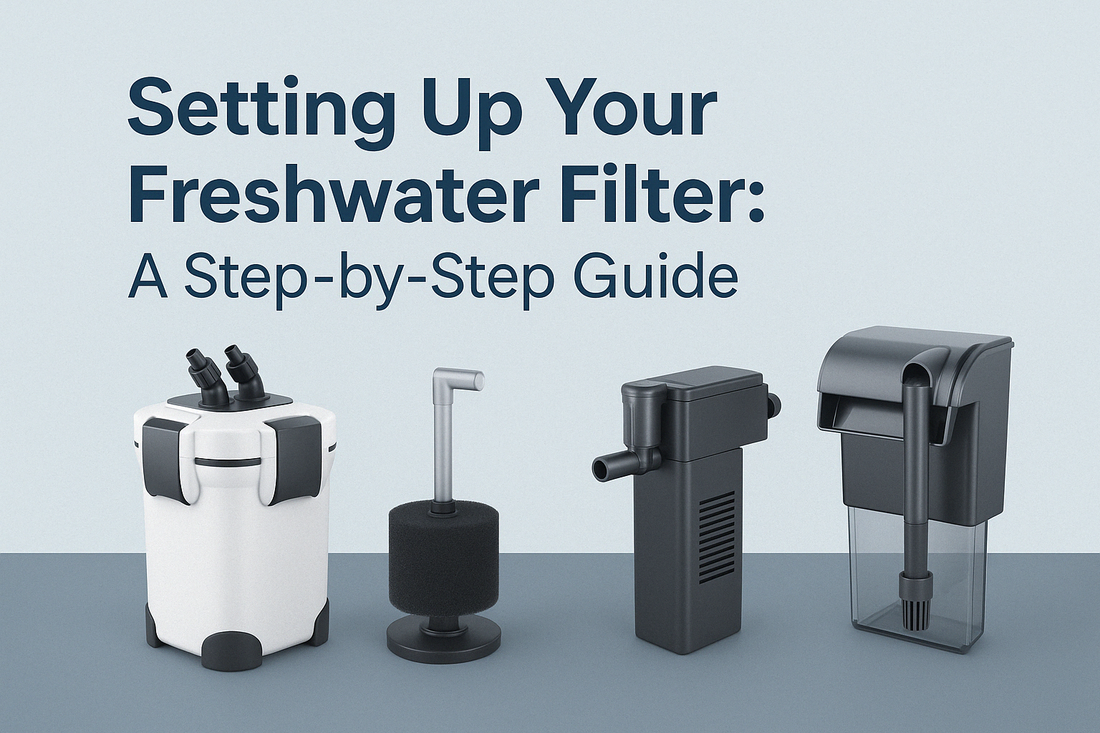 Setting Up Your Freshwater Filter: A Step-by-Step Guide