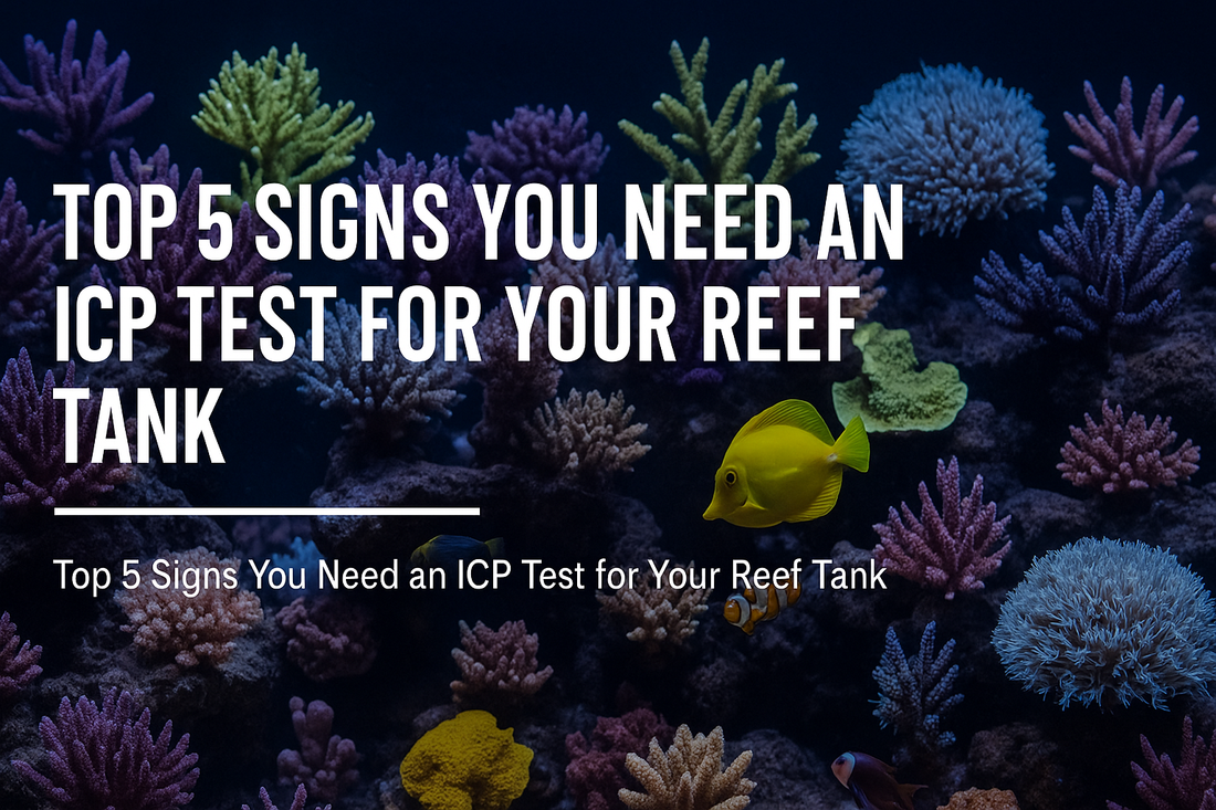Top 5 Signs You Need an ICP Test for Your Reef Tank