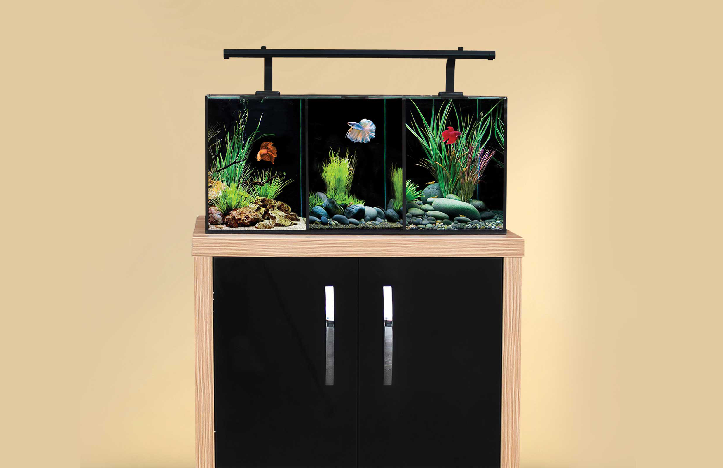 Aqua One Betta Tanks: The Perfect Home for Your Betta Fish