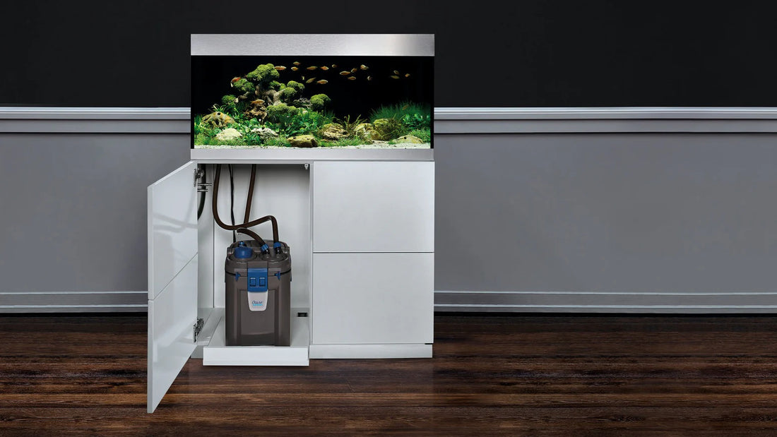 How to Choose an External Filter for Your Aquarium