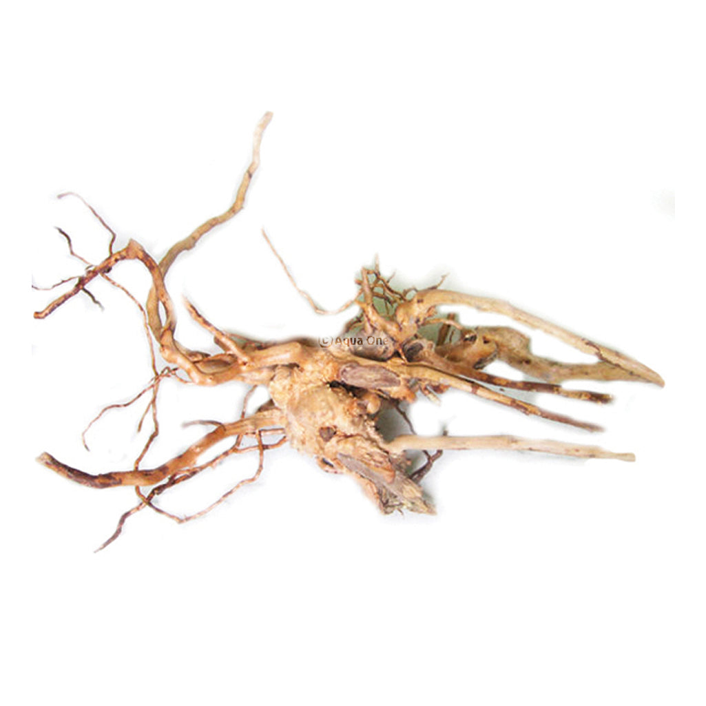 Aqua One Azalea Root 30-40cm