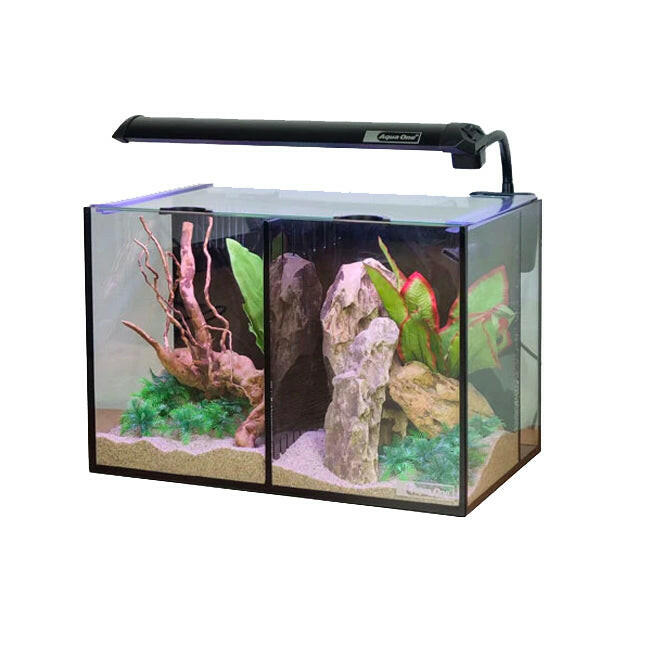 Aqua One Betta Duo Aquarium – Charterhouse Aquatics