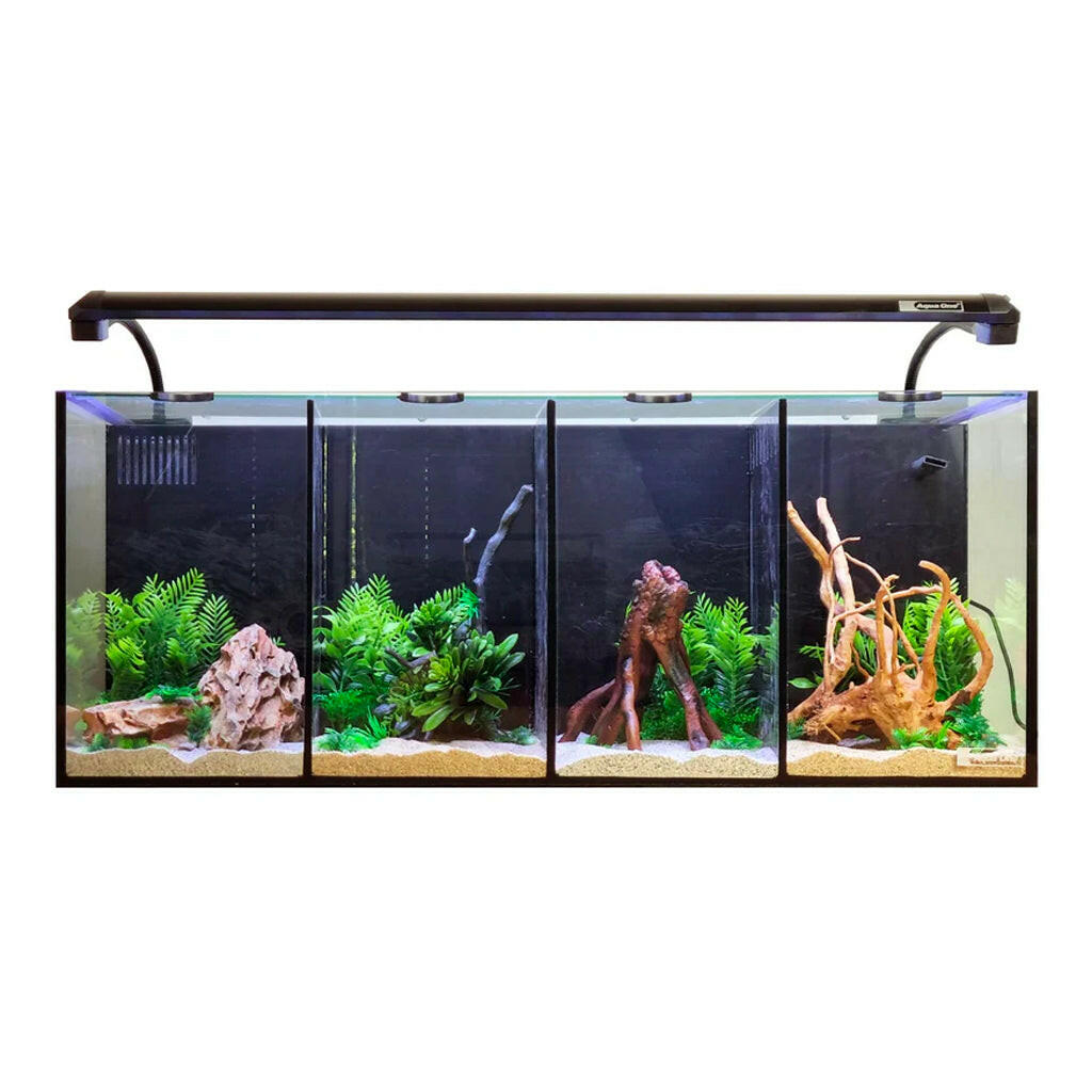 Aqua One Betta Quad Aquarium – Charterhouse Aquatics