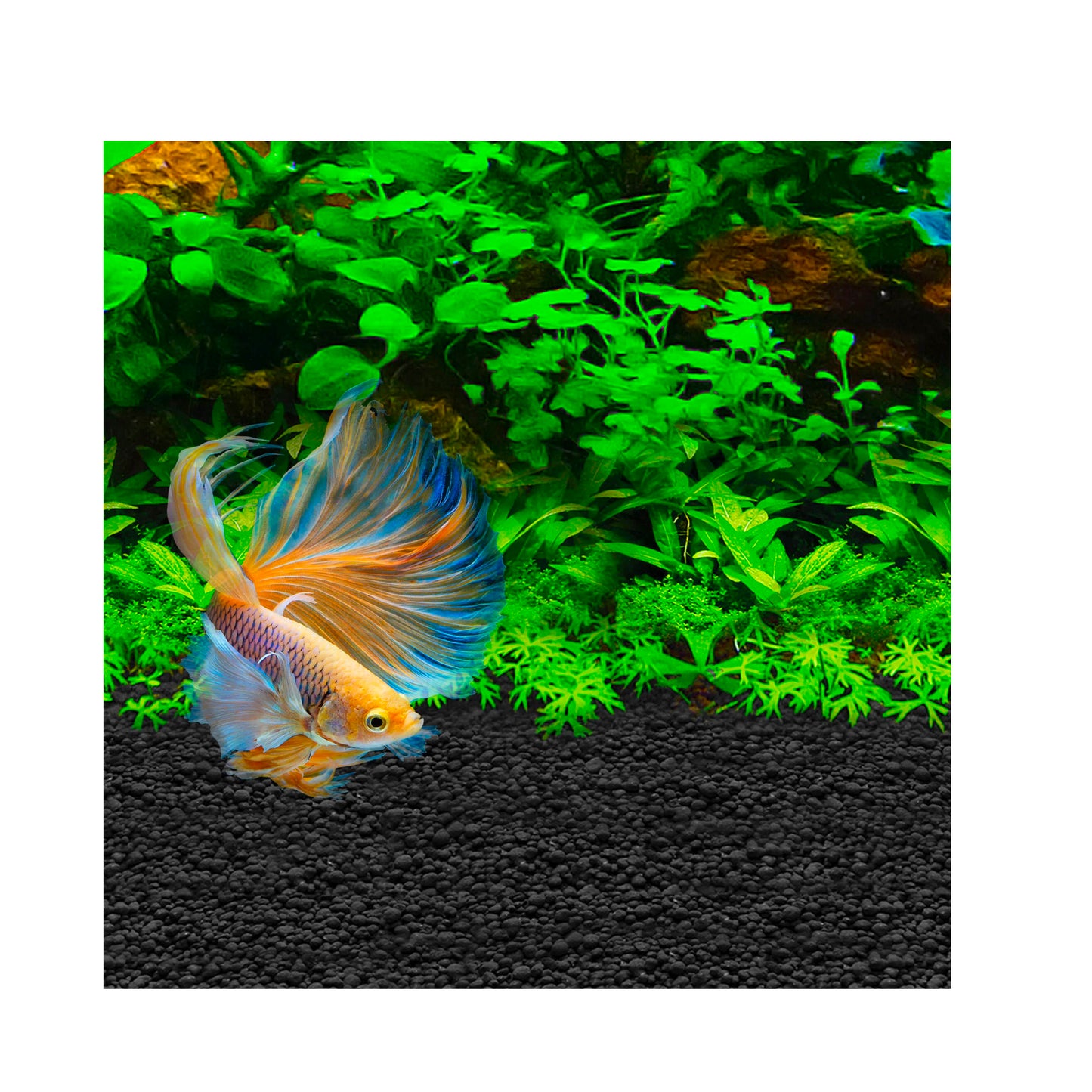 Fluval Betta Stratum 800g