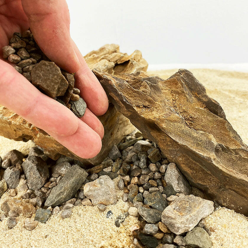 WIO Brown Accent Petite 750g