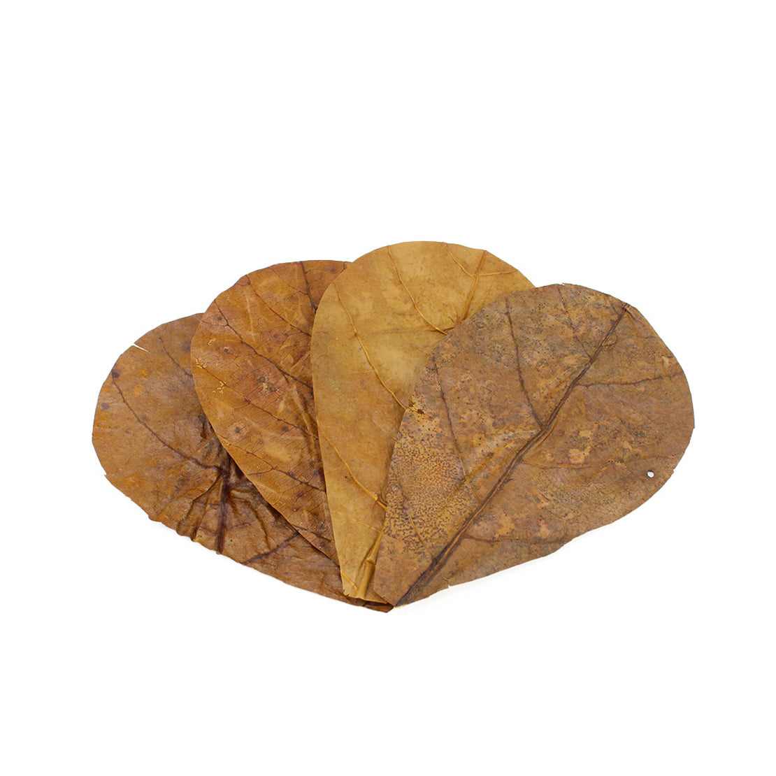 Seachem Catappa Leaves Small 7g