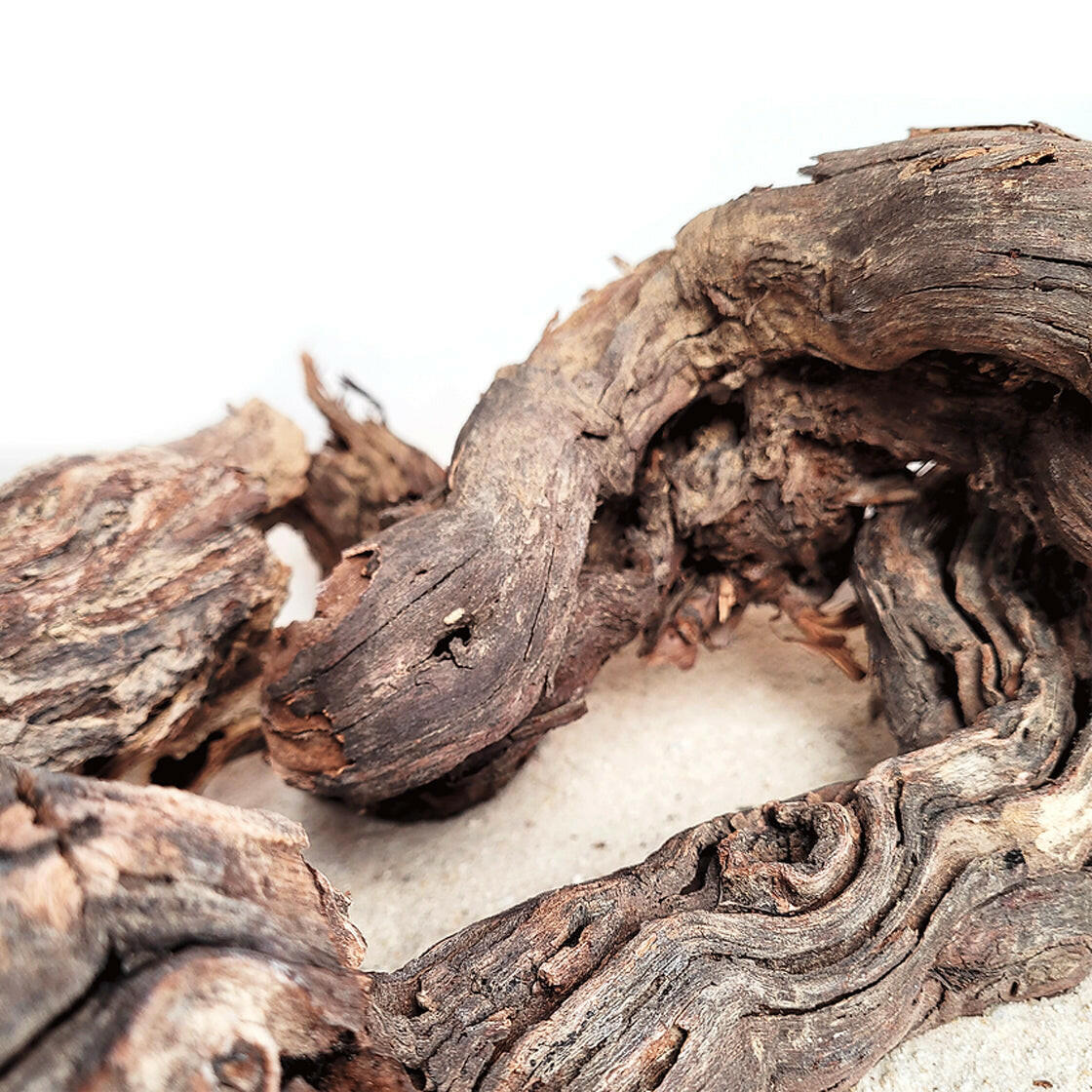 WIO Centurion Wood - Medium