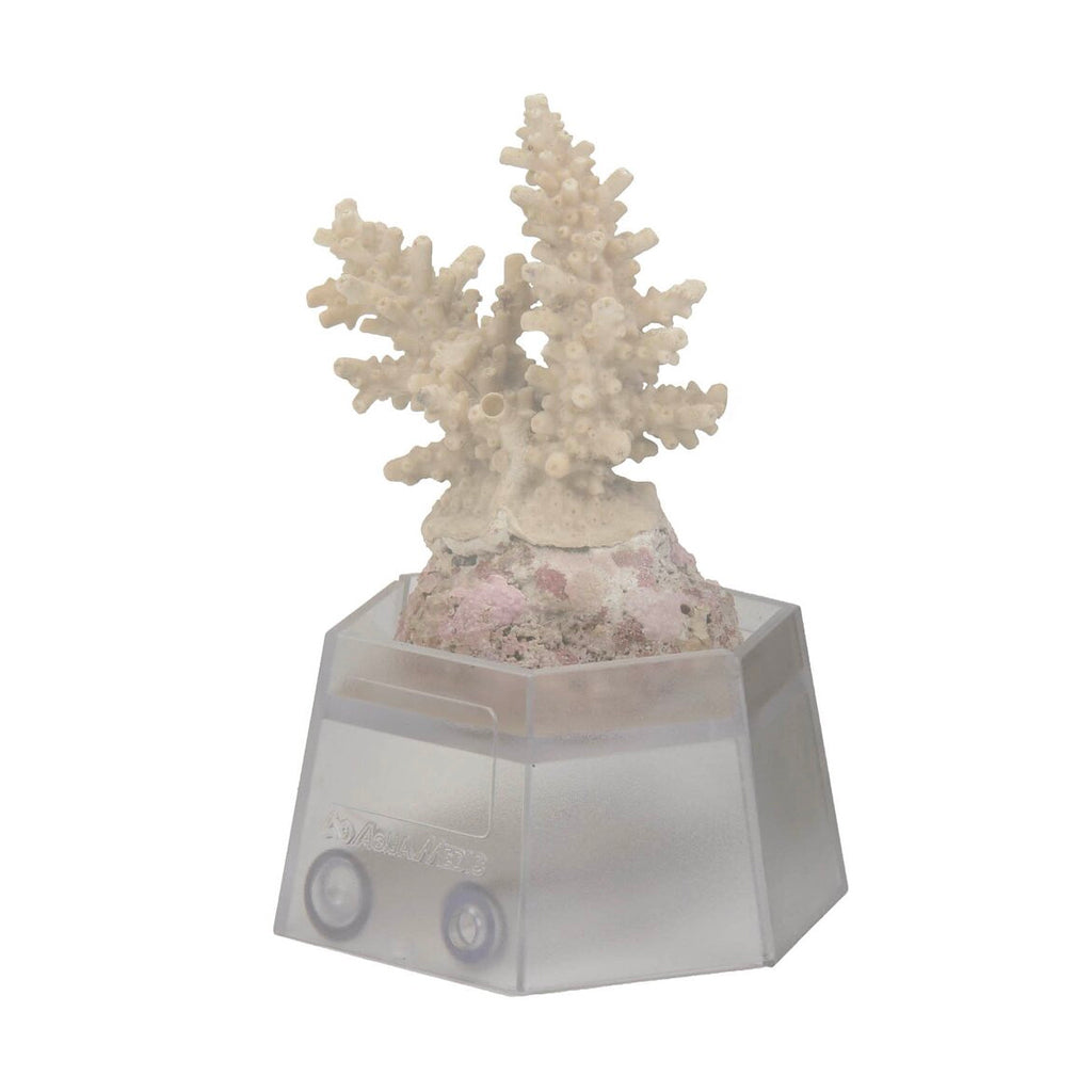 Aqua Medic Coral Holder