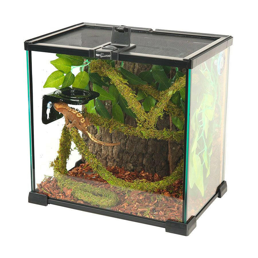 ReptiZoo Natural Moss Vine 200cm x 2cm