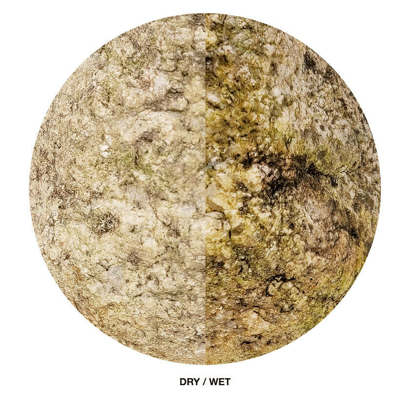 WIO Elderly Boulder Box Set - 11KG