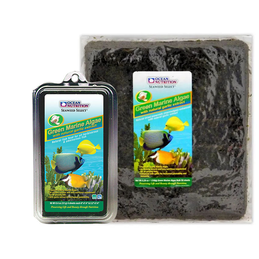 Ocean Nutrition Green Marine Seaweed – Charterhouse Aquatics