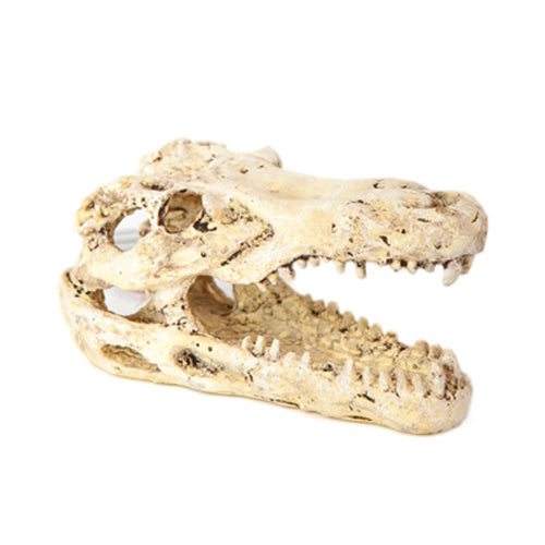 Betta Mini Croc Head Aquarium Ornament