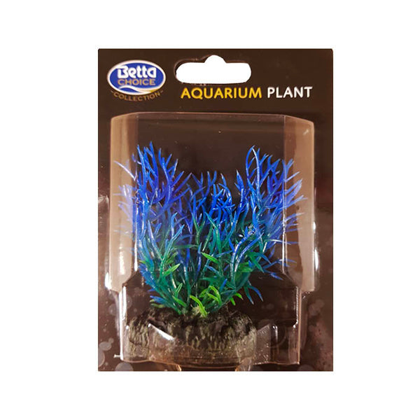 Betta Choice 9cm Blue Fern