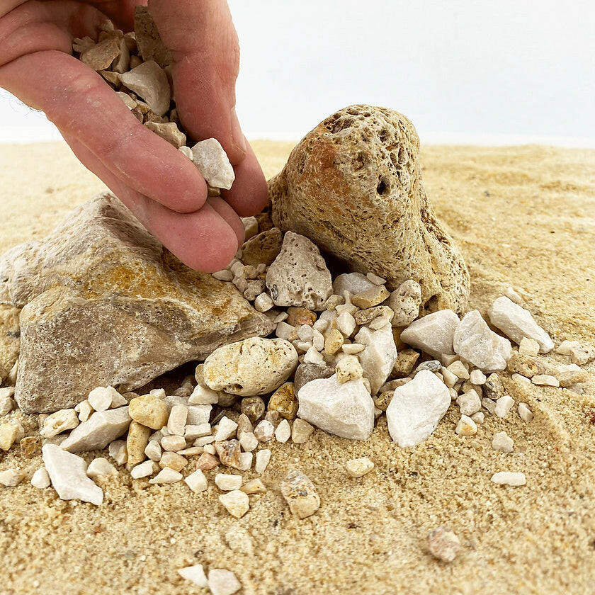 WIO Pale Accent Petite 750g