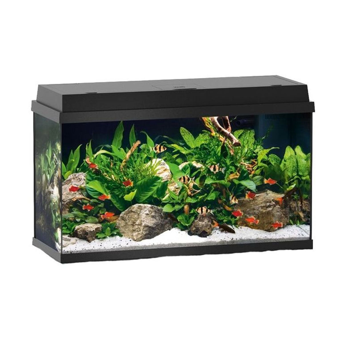 Juwel Primo LED Aquarium