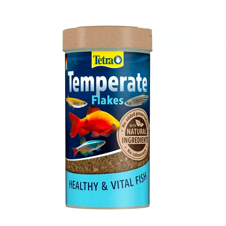 Tetra Temperate Flake Food 88g