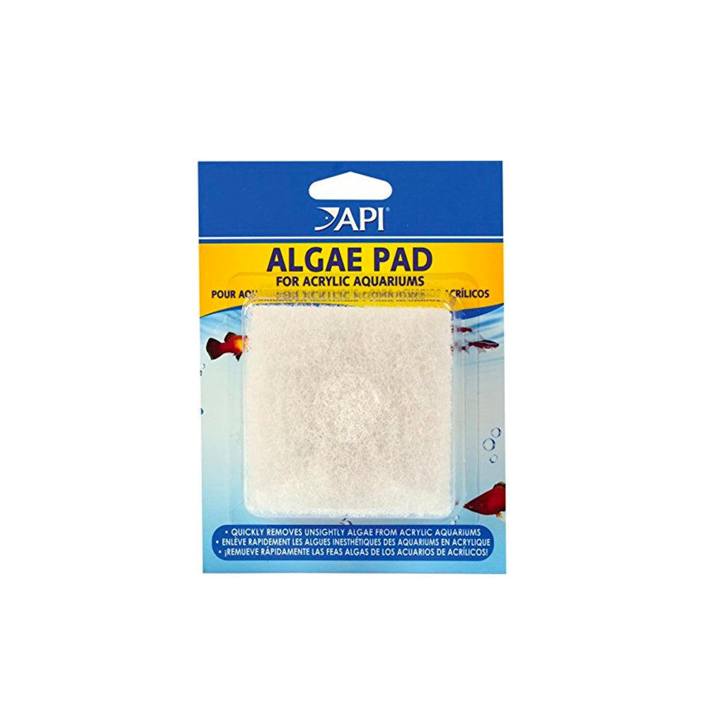 API Algae Pad for Acrylic Aquariums - Charterhouse Aquatics