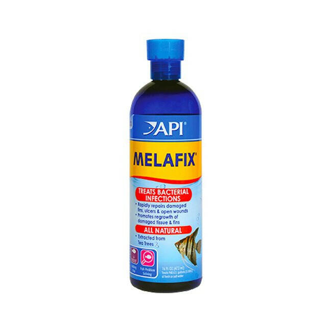 API Melafix 240ml - Charterhouse Aquatics