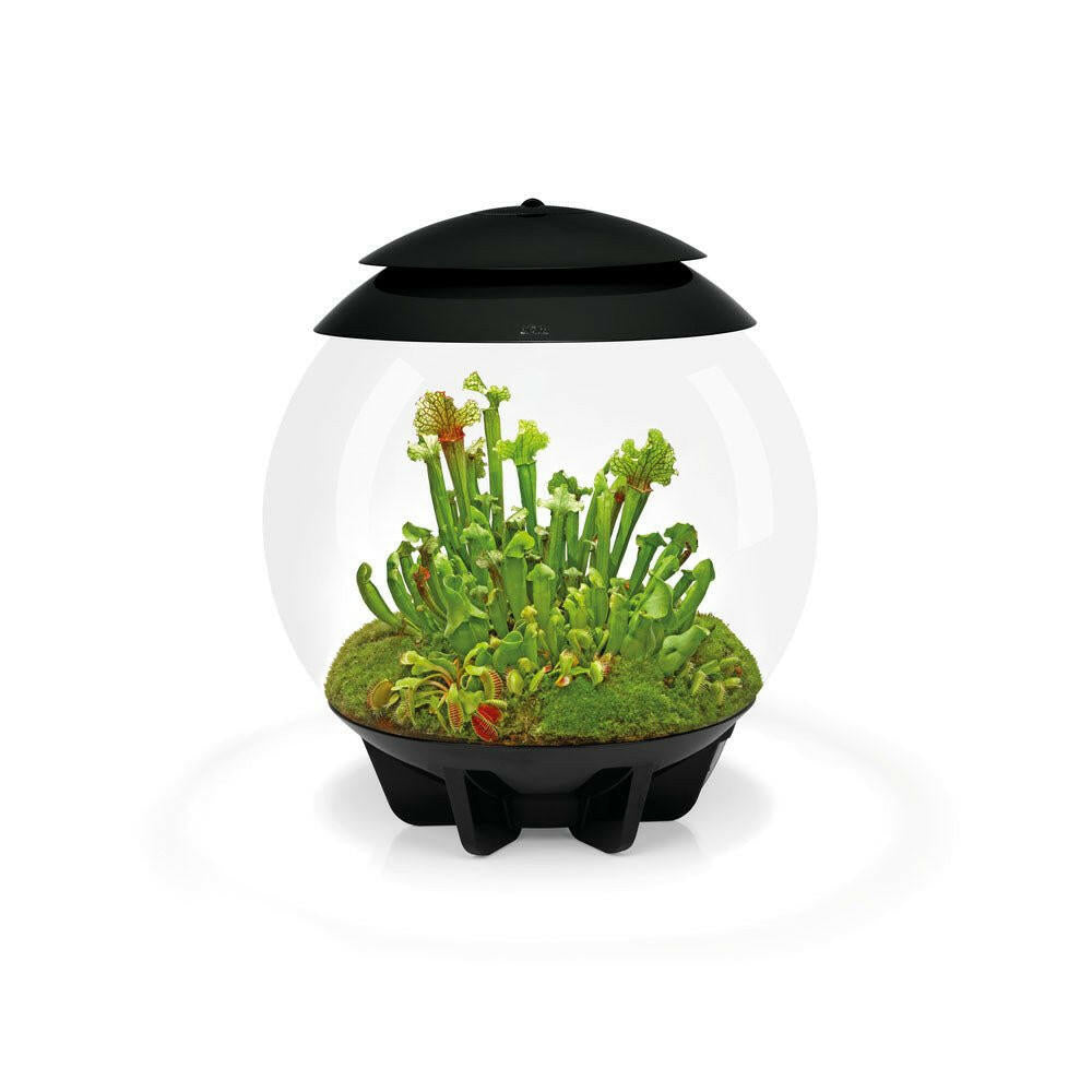 biOrb AIR 30 - Black - Charterhouse Aquatics