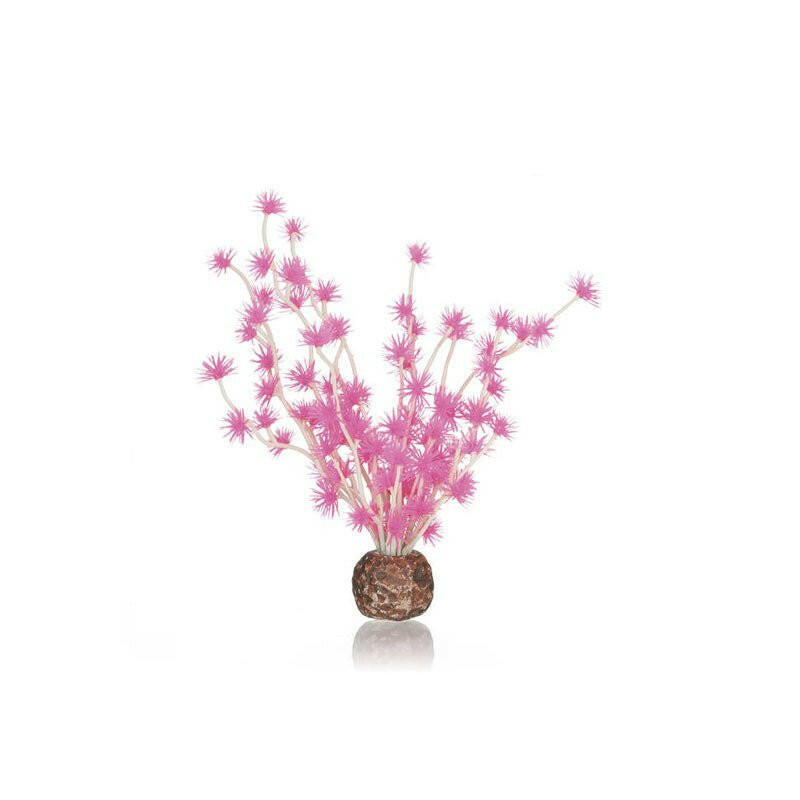 Biorb Bonsai Ball Pink - Charterhouse Aquatics