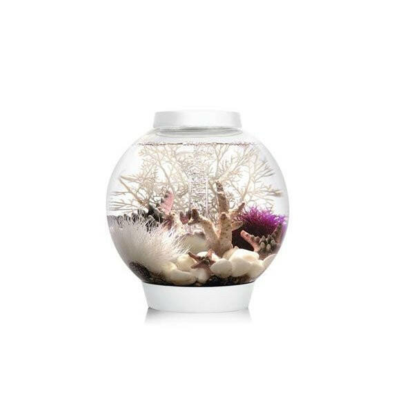 Biorb Classic 15 LED - White - Charterhouse Aquatics