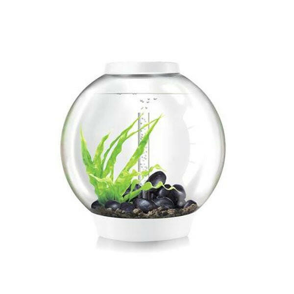 biOrb CLASSIC 60 LED - White - Charterhouse Aquatics