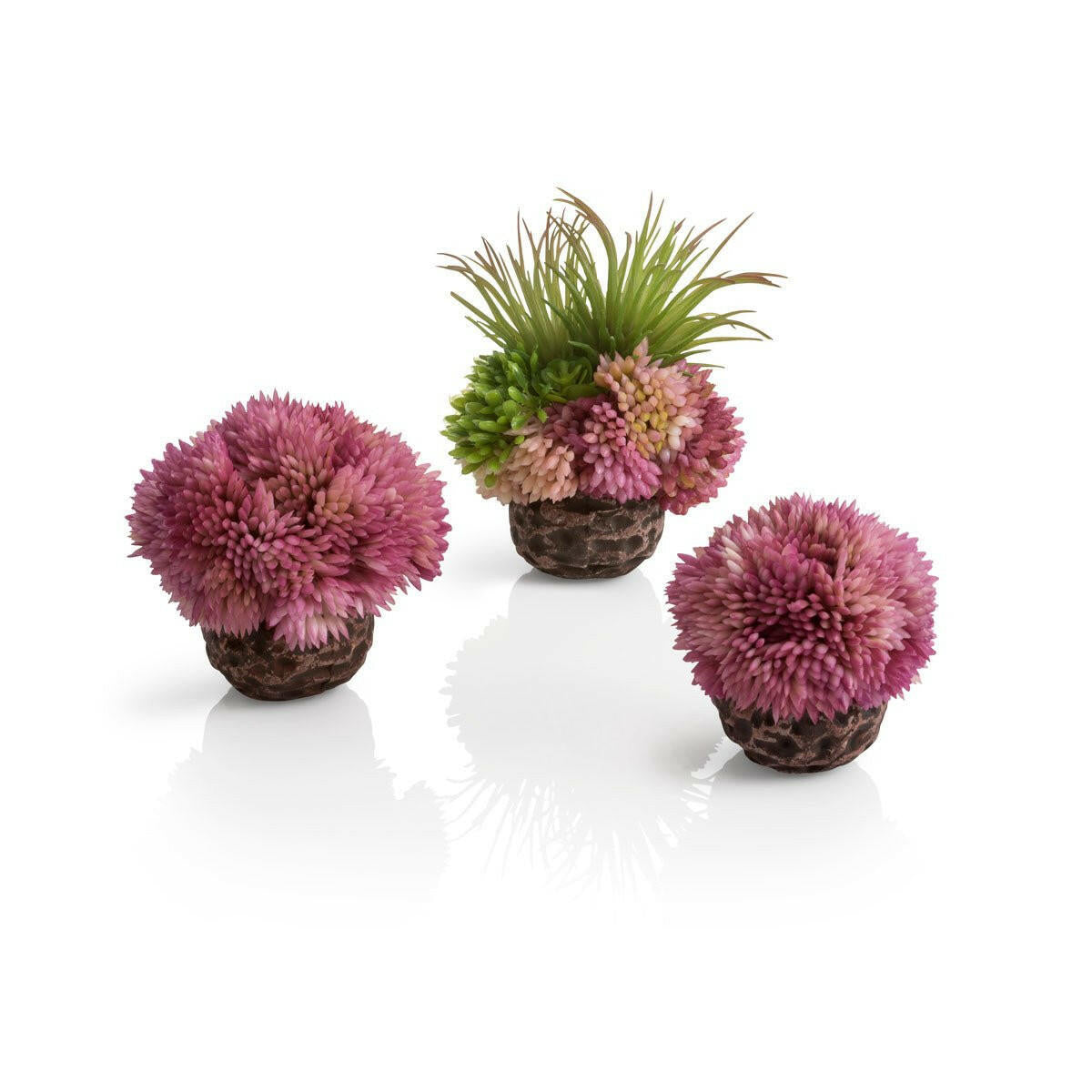 BiOrb Coral Ball Set - Purple - Charterhouse Aquatics