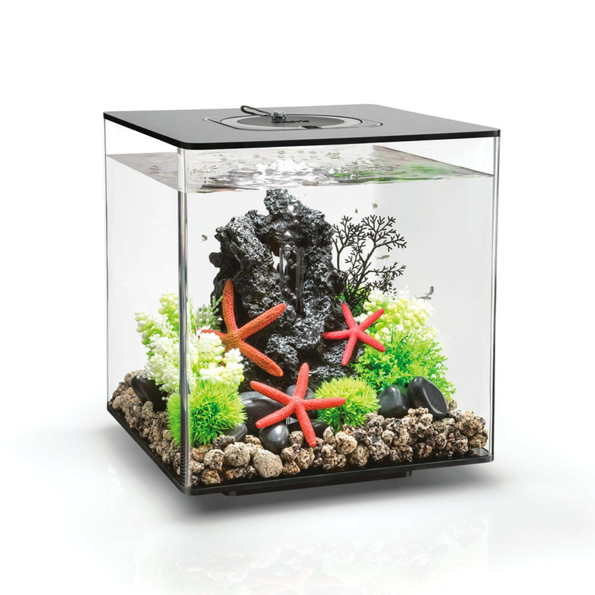 Biorb Cube 30 Black - MCR - Charterhouse Aquatics