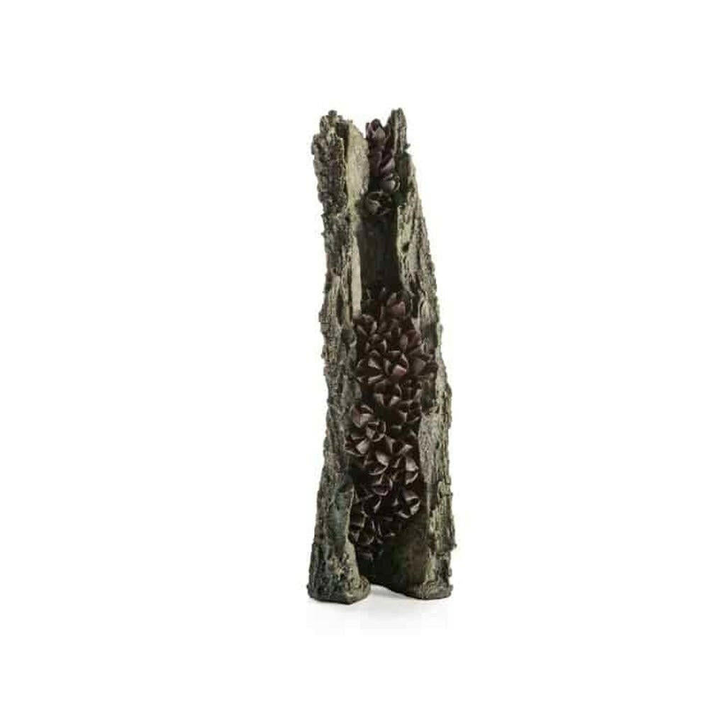 Biorb Earth Large Bark Decoration - Charterhouse Aquatics