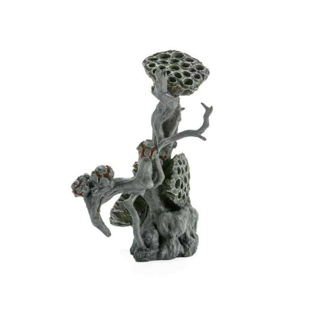 Biorb Earth Large Lotus Seedpod on Root Decoration - Charterhouse Aquatics