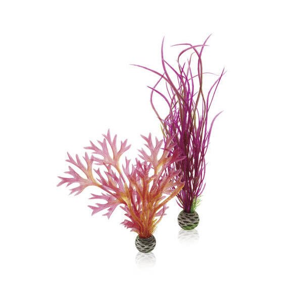BiOrb Easy Plants - Red / Pink (Medium x 2) - Charterhouse Aquatics