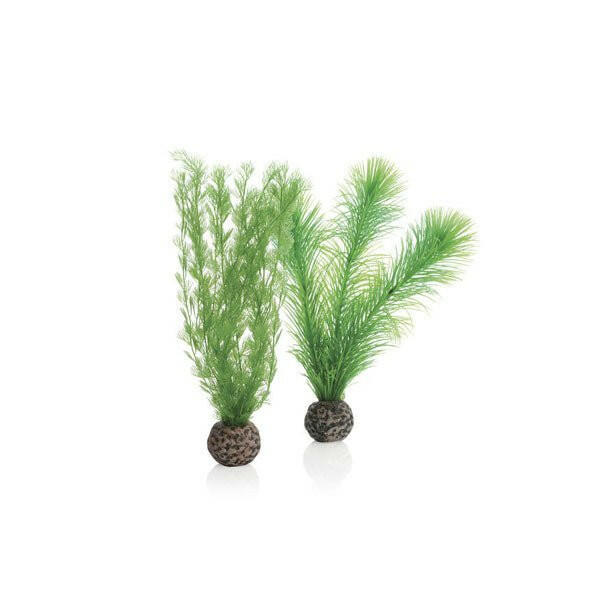 Biorb Feather Fern Set - Small - Charterhouse Aquatics