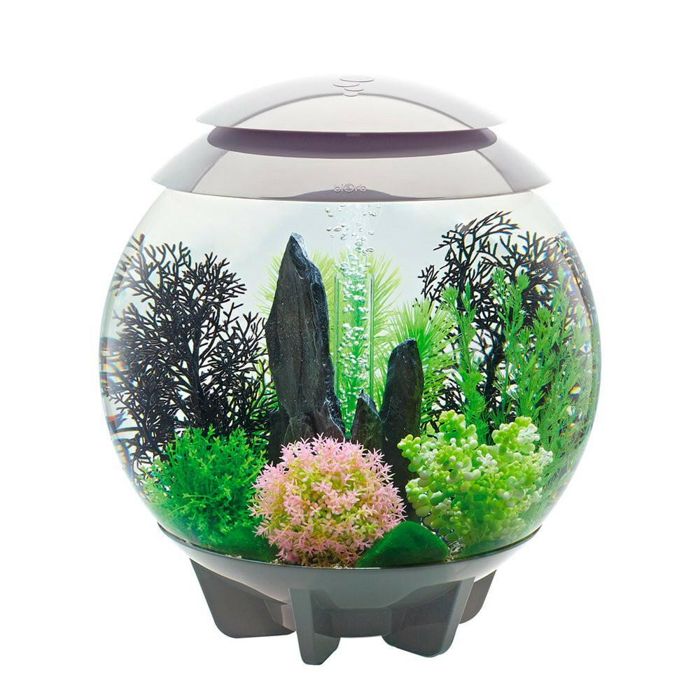 biOrb HALO 30 MCR - Grey - Charterhouse Aquatics