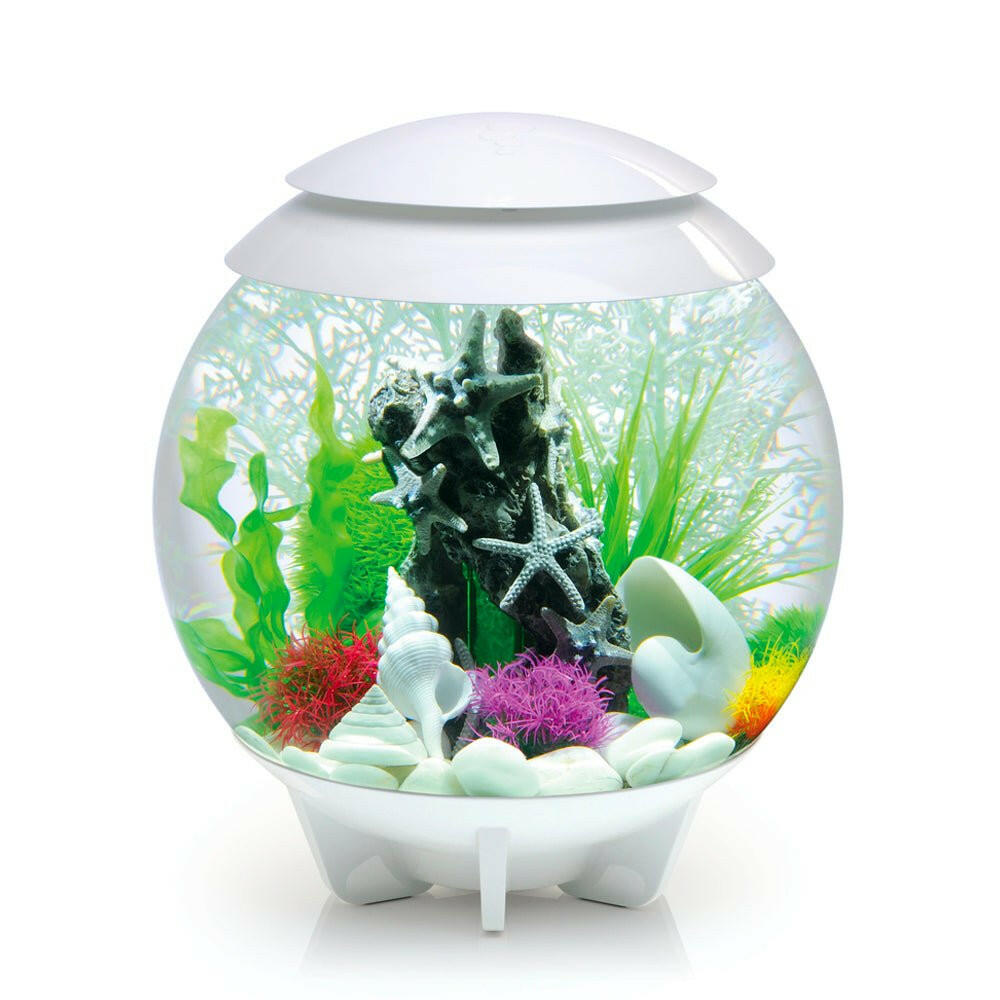 biOrb HALO 30 MCR - White - Charterhouse Aquatics