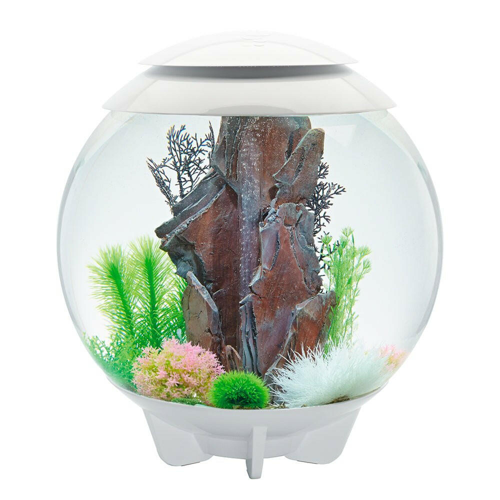 biOrb HALO 60 MCR - White - Charterhouse Aquatics