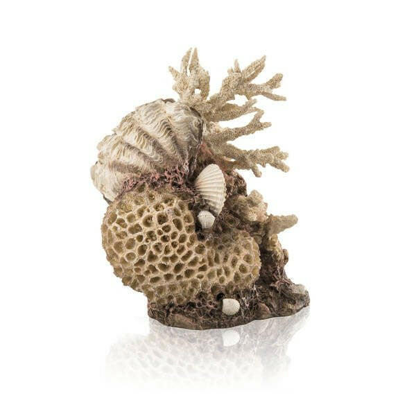 Biorb Natural Coral Shells Ornament.