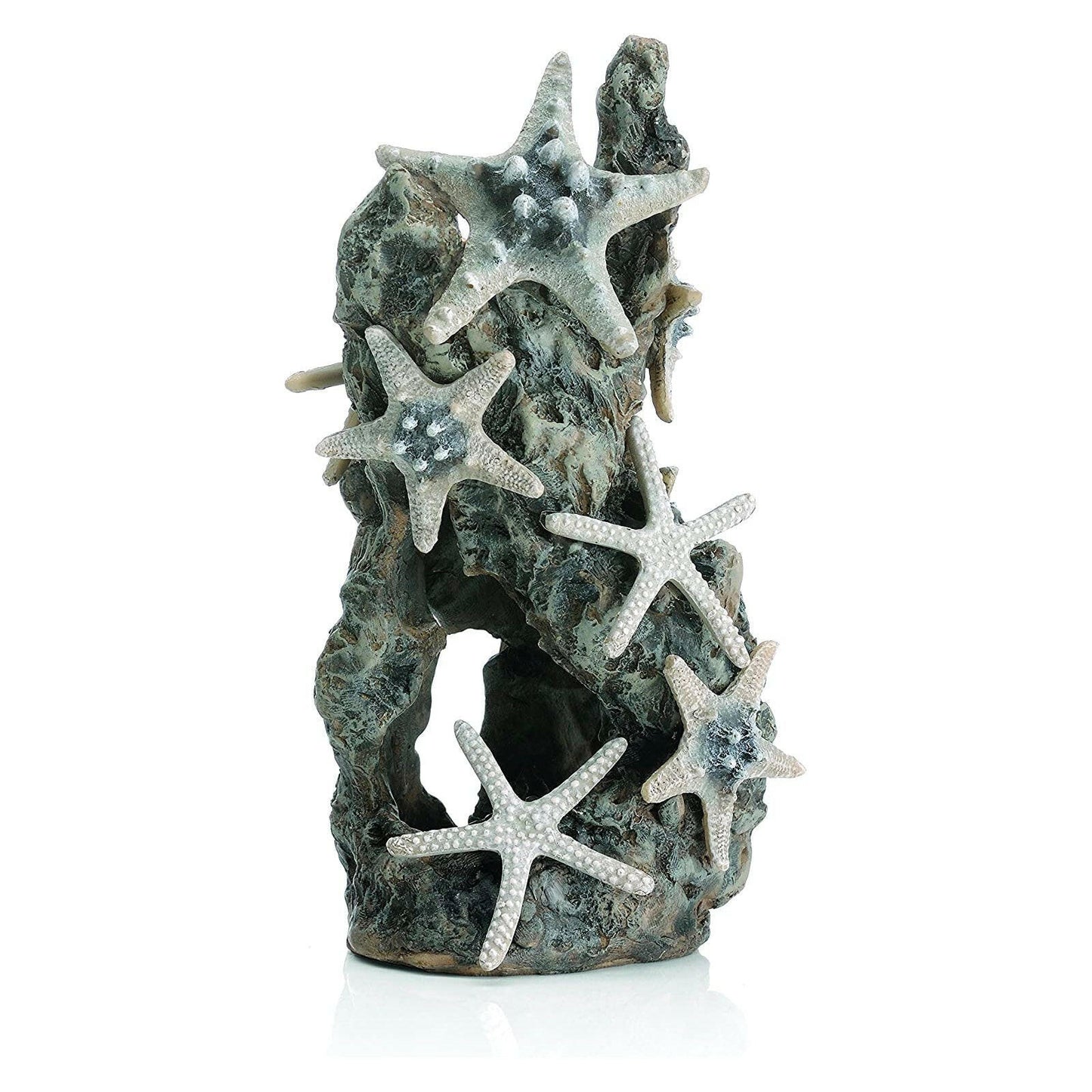 BiOrb Sea Stars on a Rock Sculpture.