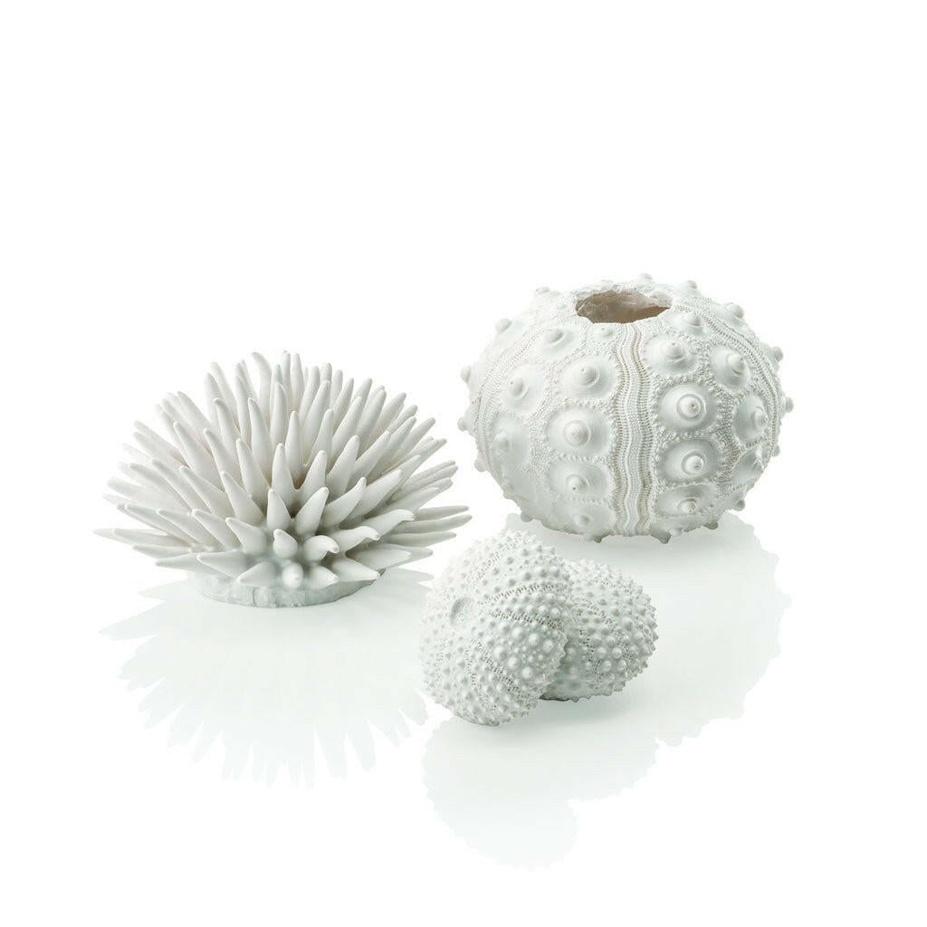 Biorb Sea Urchins White (x3).