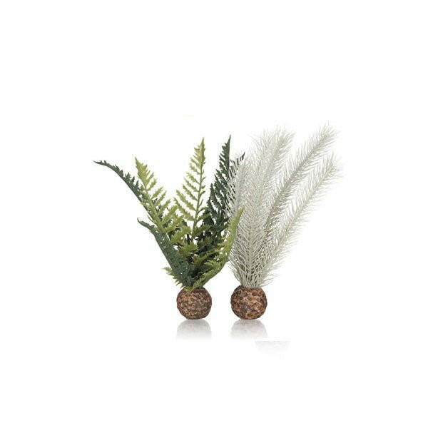 Biorb Thistle Fern Grey/Green - Small - Charterhouse Aquatics