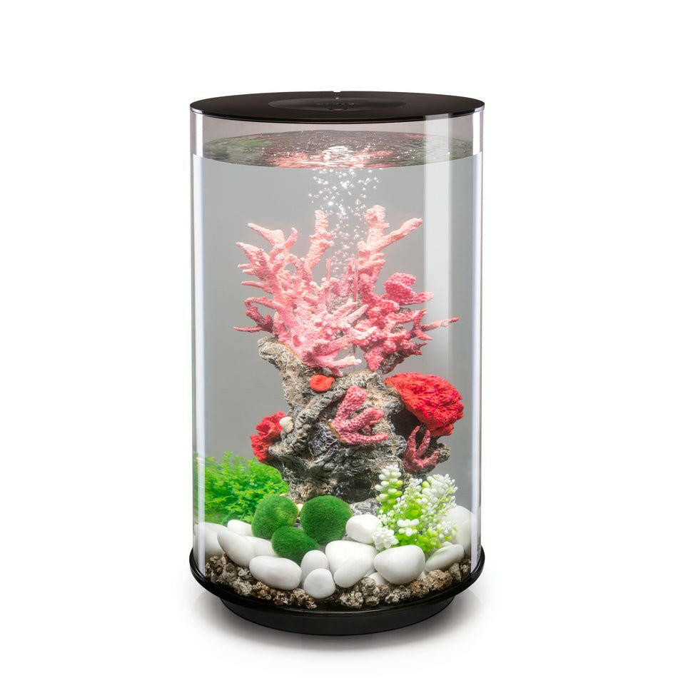 Biorb Tube 30 LED - Black - Charterhouse Aquatics