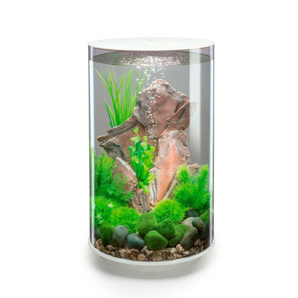 Biorb Tube 30 LED - White - Charterhouse Aquatics