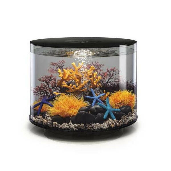 Biorb Tube 35 LED - Black - Charterhouse Aquatics