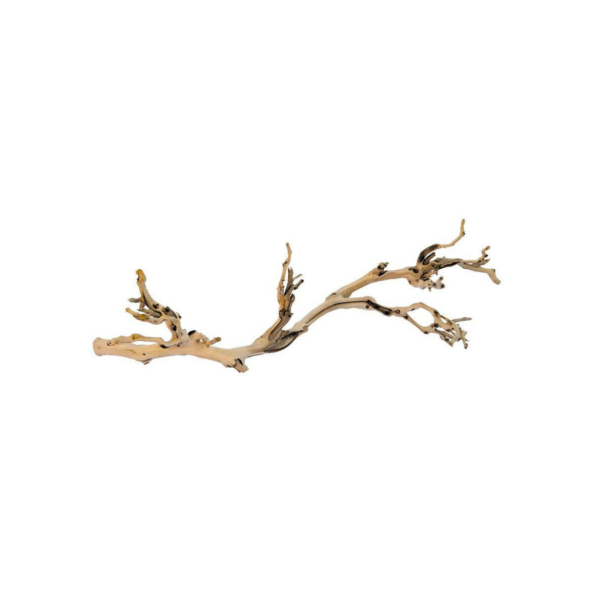 Exo Terra Forest Branch Large - Charterhouse Aquatics