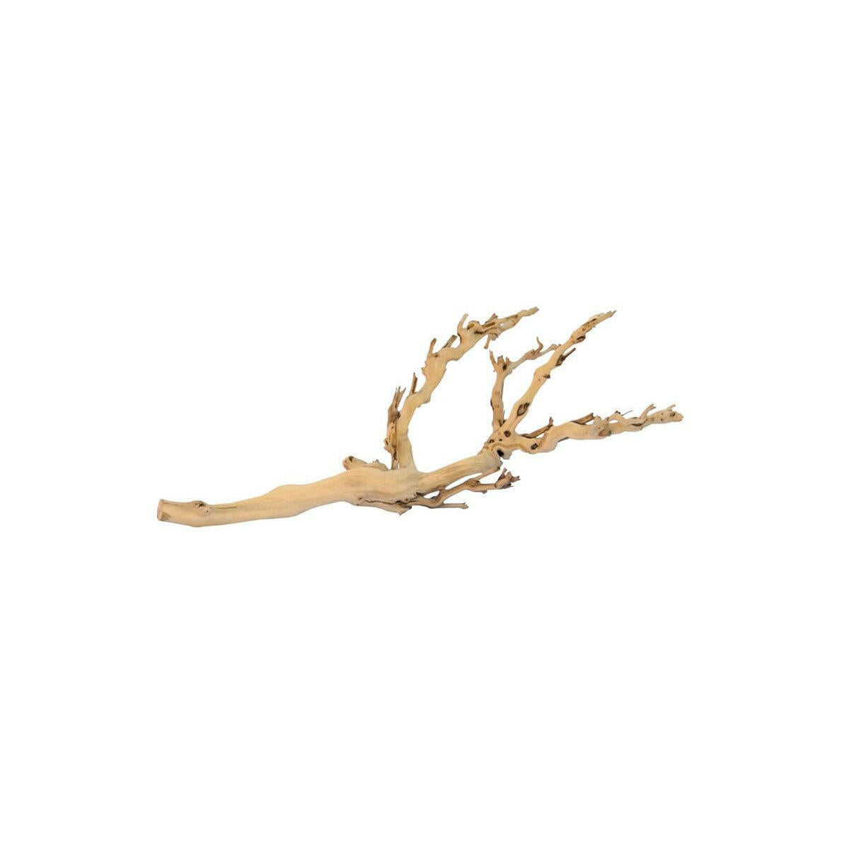 Exo Terra Forest Branch Medium - Charterhouse Aquatics