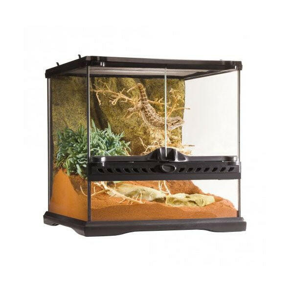 Exo Terra Glass Terrarium Mini Wide - 30x30x30cm - Charterhouse Aquatics