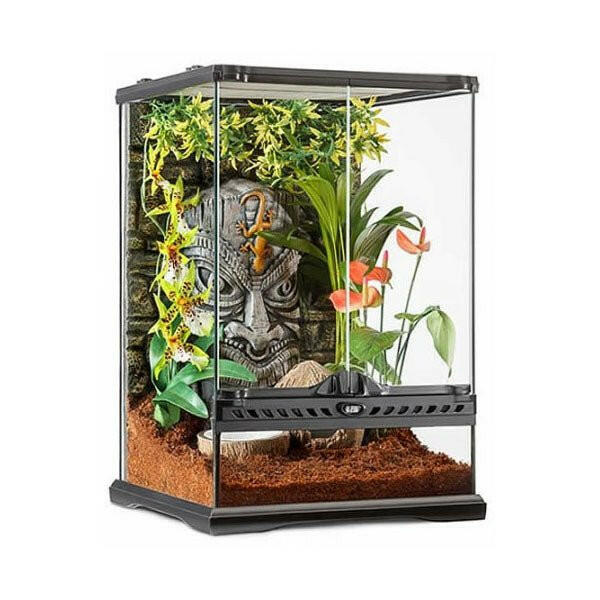 Exo Terra Tiki Terrarium 30x30x45cm - Charterhouse Aquatics