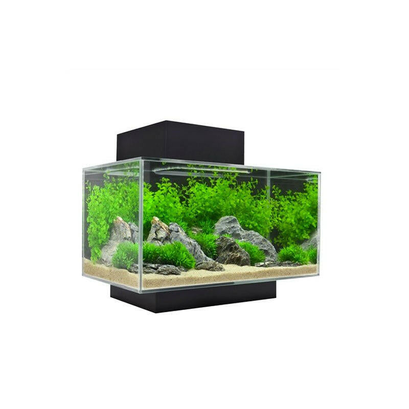 Fluval Edge 2.0 Aquarium 23 Litre - Gloss Black - Charterhouse Aquatics