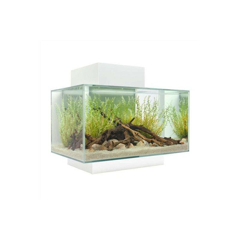 Fluval Edge 2.0 Aquarium 23 Litre - Gloss White - Charterhouse Aquatics