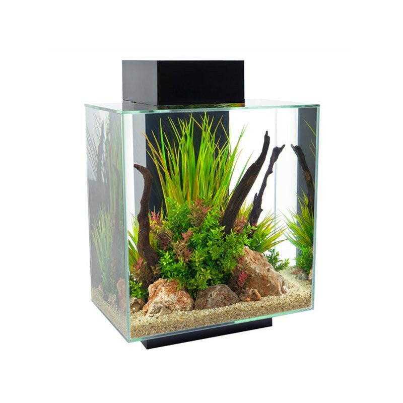 Fluval Edge 2.0 Aquarium 46 Litre - Gloss Black - Charterhouse Aquatics